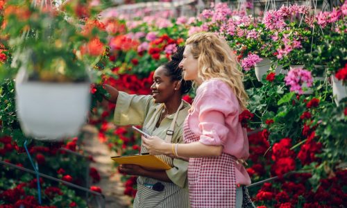 multiracial-female-florists-working-in-a-green-house-plant-nursery-and-using-tablet.jpg